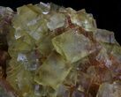 Lustrous, Yellow Cubic Fluorite Crystals - Morocco #37484-2